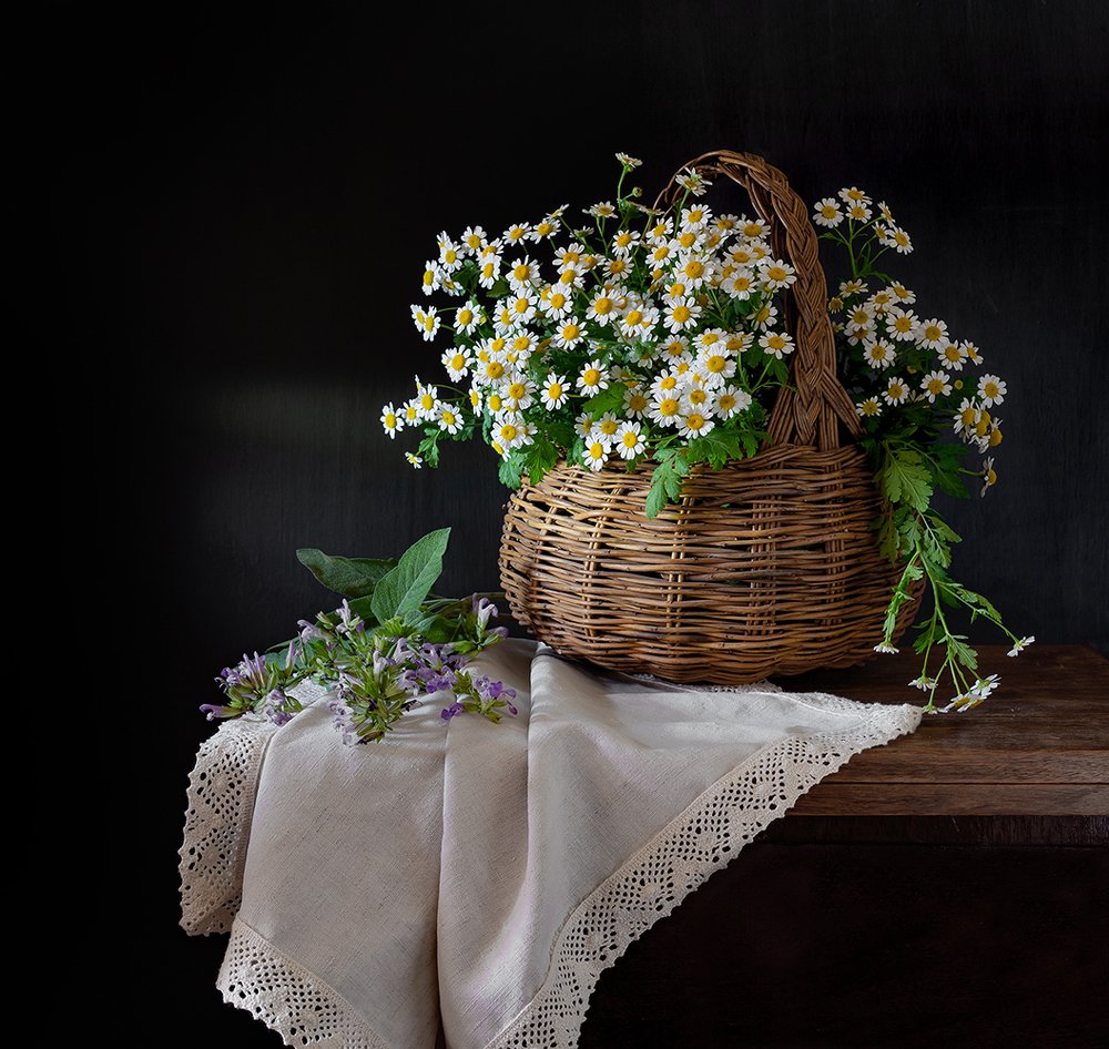 Матрикария