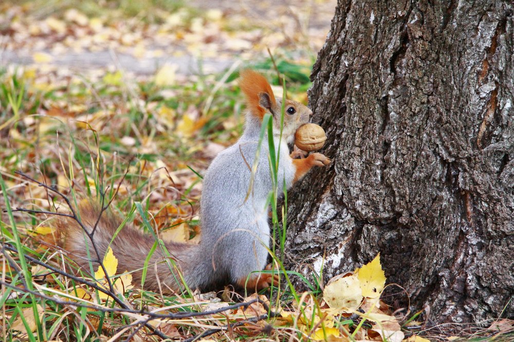 Photograph by Жанна Цветкова