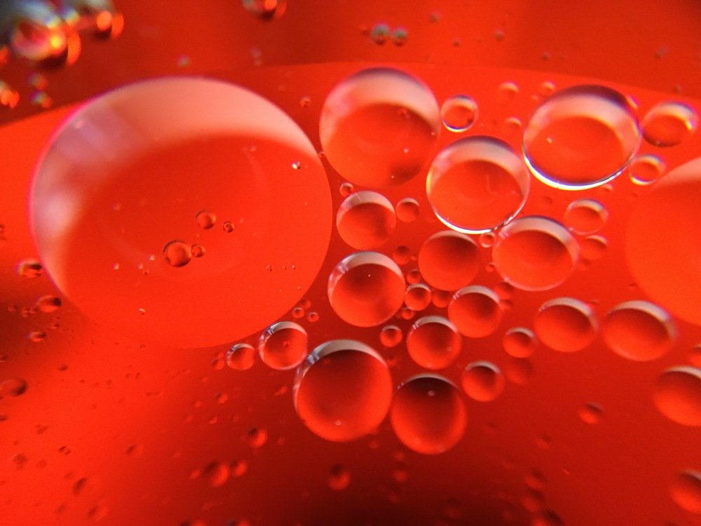 Photograph by Kaustubh Dhananjay Pote