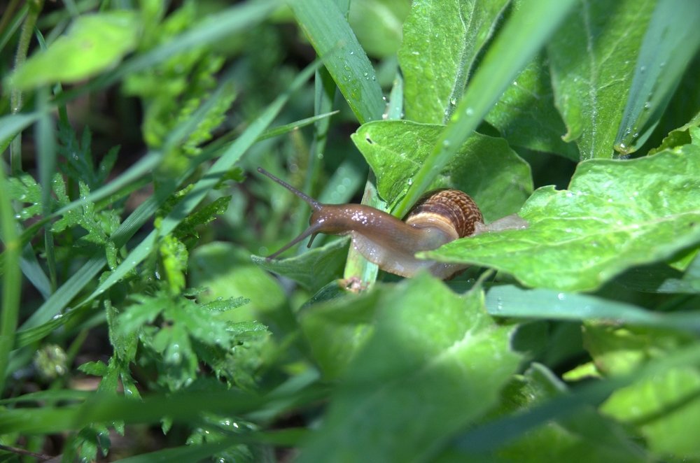 Photograph by Игорь Назаров