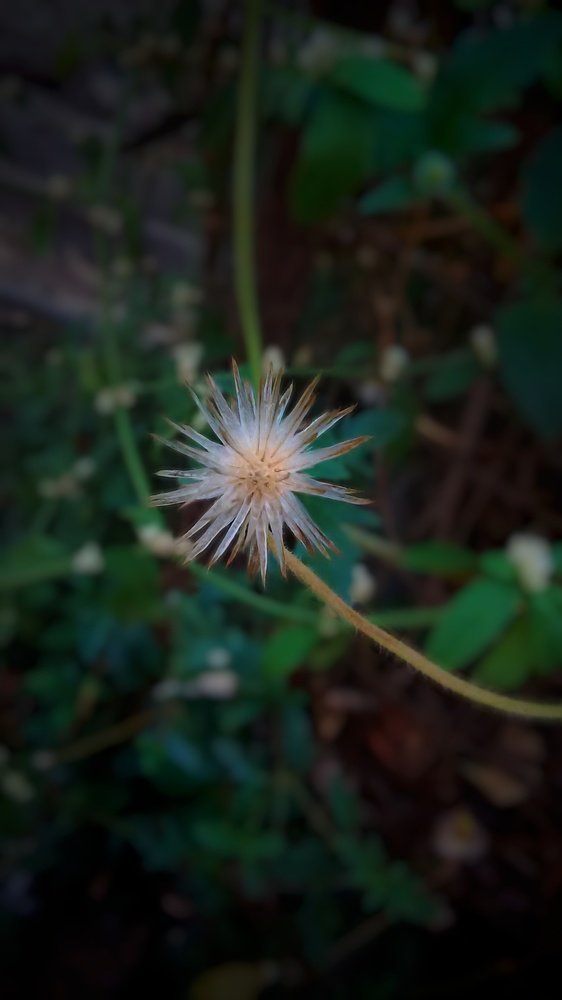 Photograph by Omkar Mane