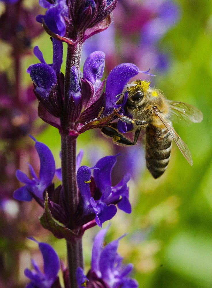 Photograph by Angel Georgiev