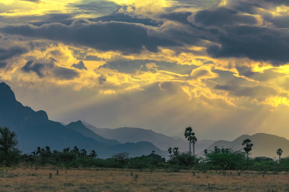 Photograph by Mahesh Magee