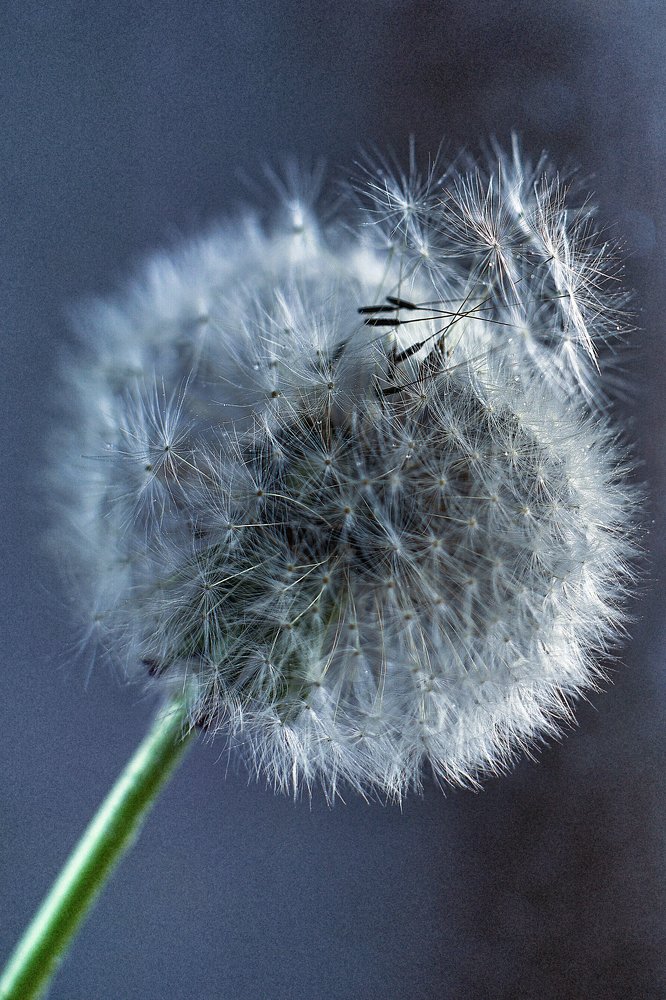 Photograph by Ольга Беспалько