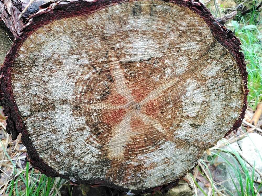 Фотография автора Luka