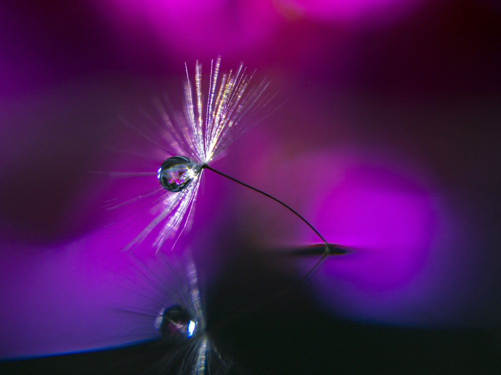 Photograph by Денис Чернышев