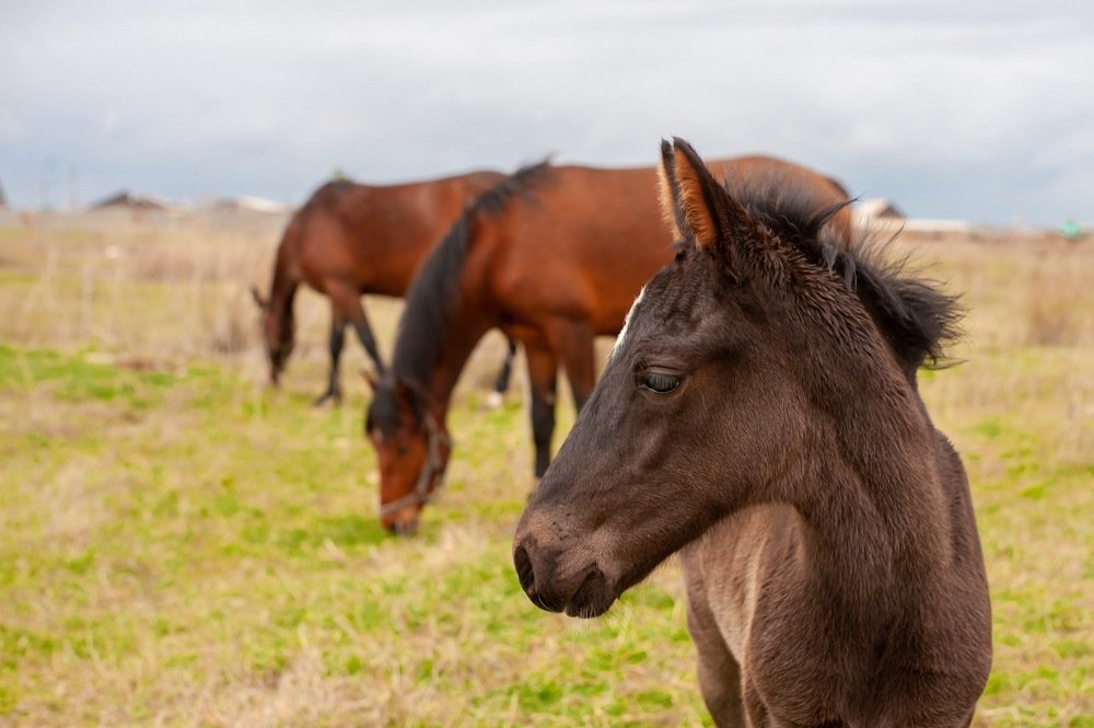 Photograph by Марина Чеботарева