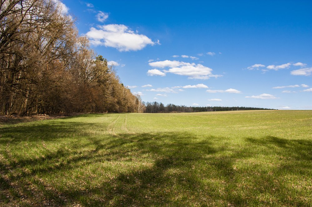 Photograph by Александр Архипов