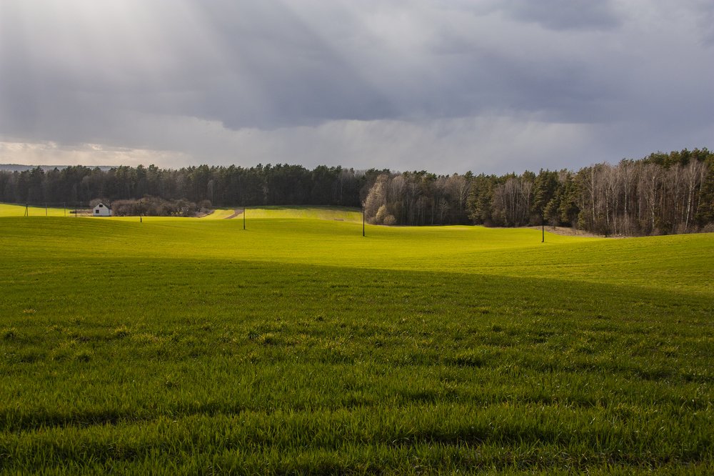 Photograph by Александр Архипов