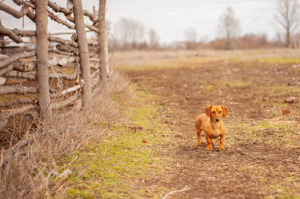 Photograph by Марина Чеботарева