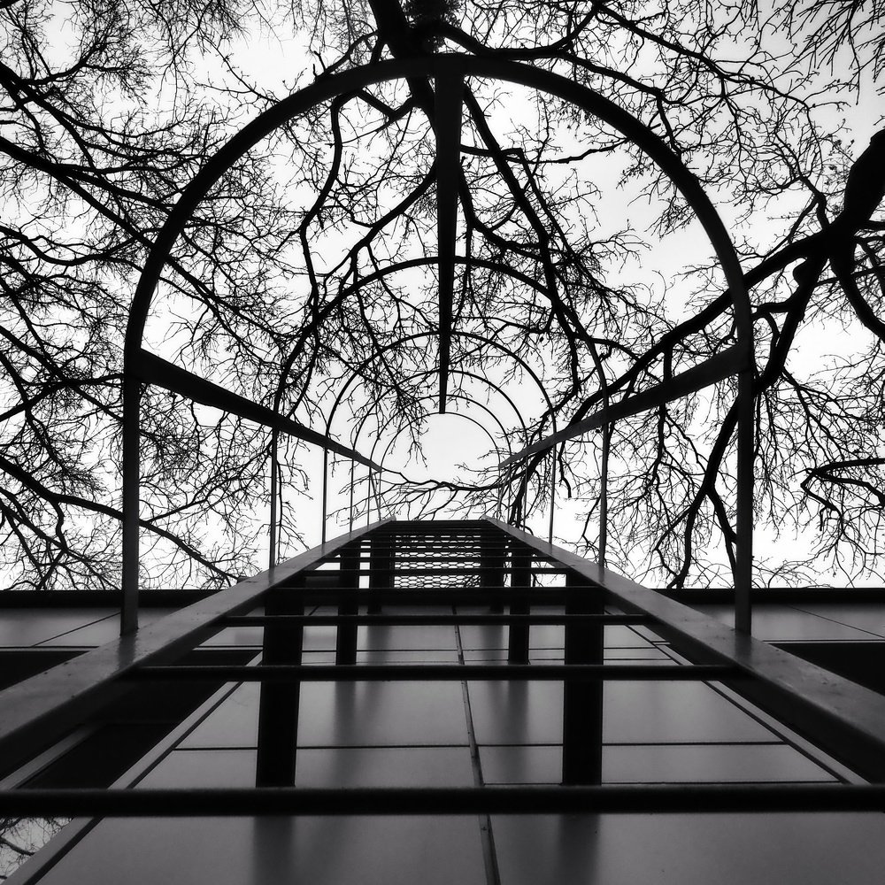 Photograph by Дмитрий Потапов