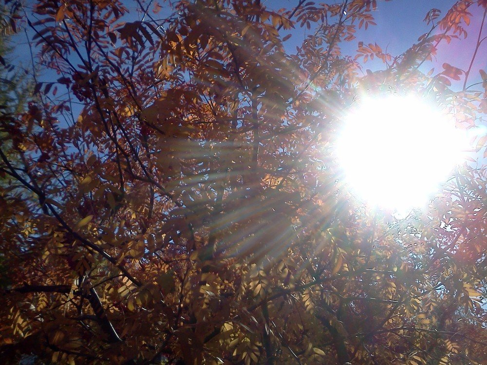 Photograph by карякина мария