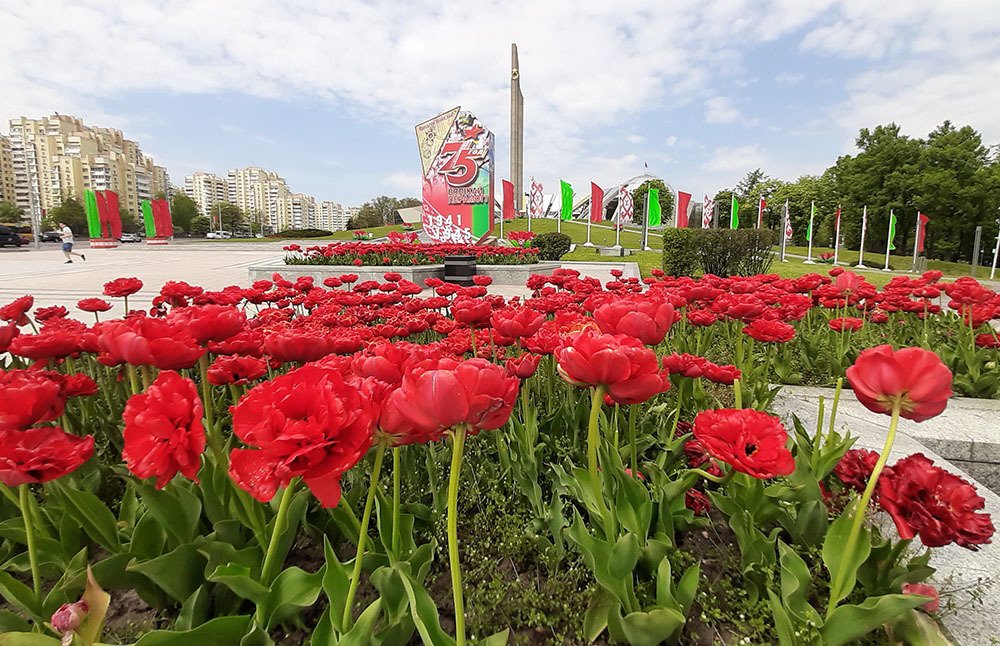 Любимый город