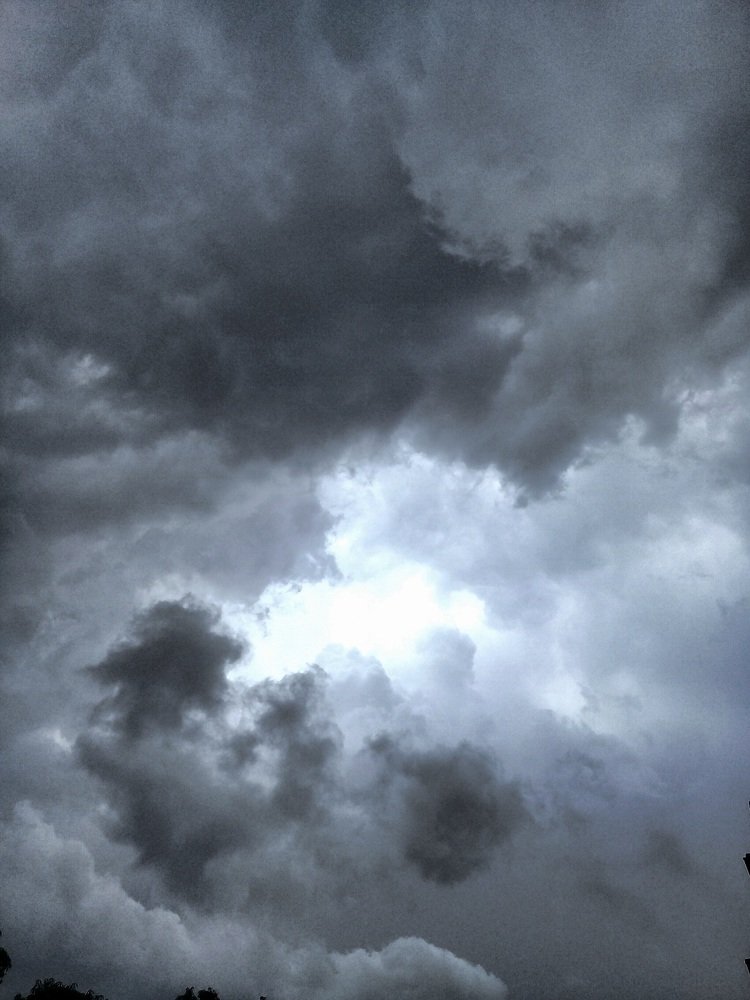 Furia