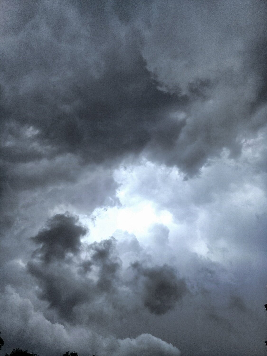Furia