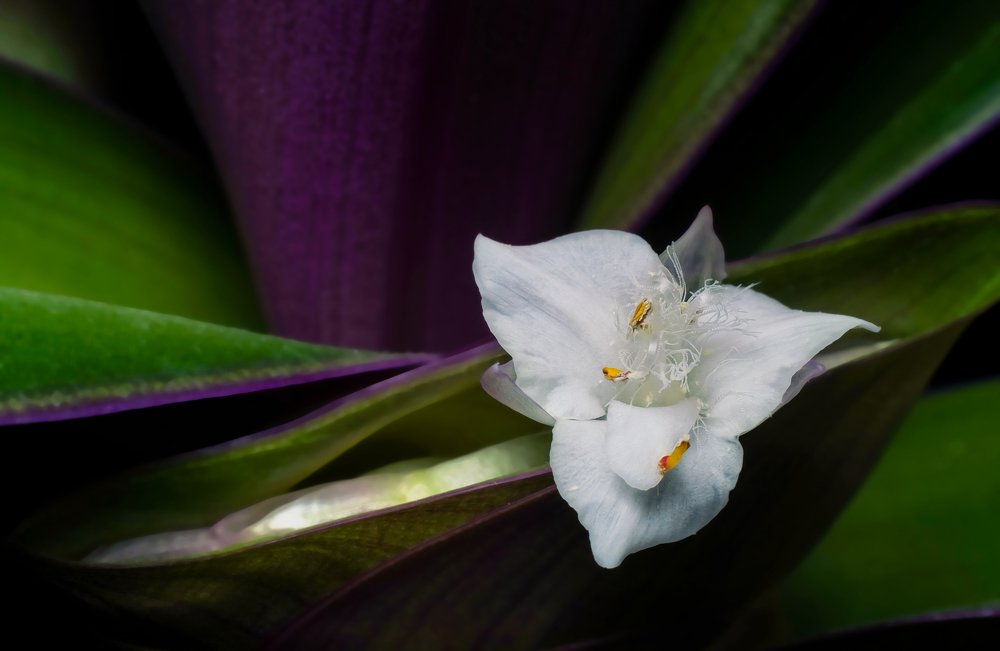 Photograph by Данил Мандрыгин