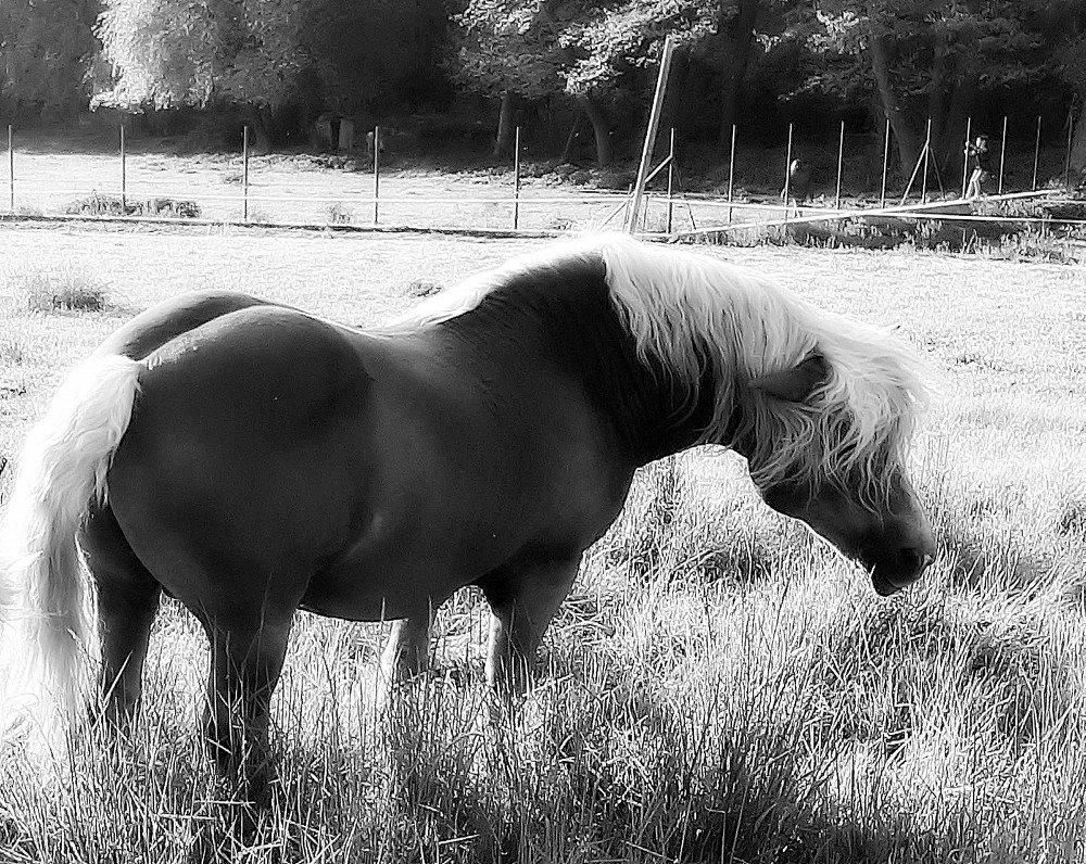 Photograph by Arkadij Frejdlin