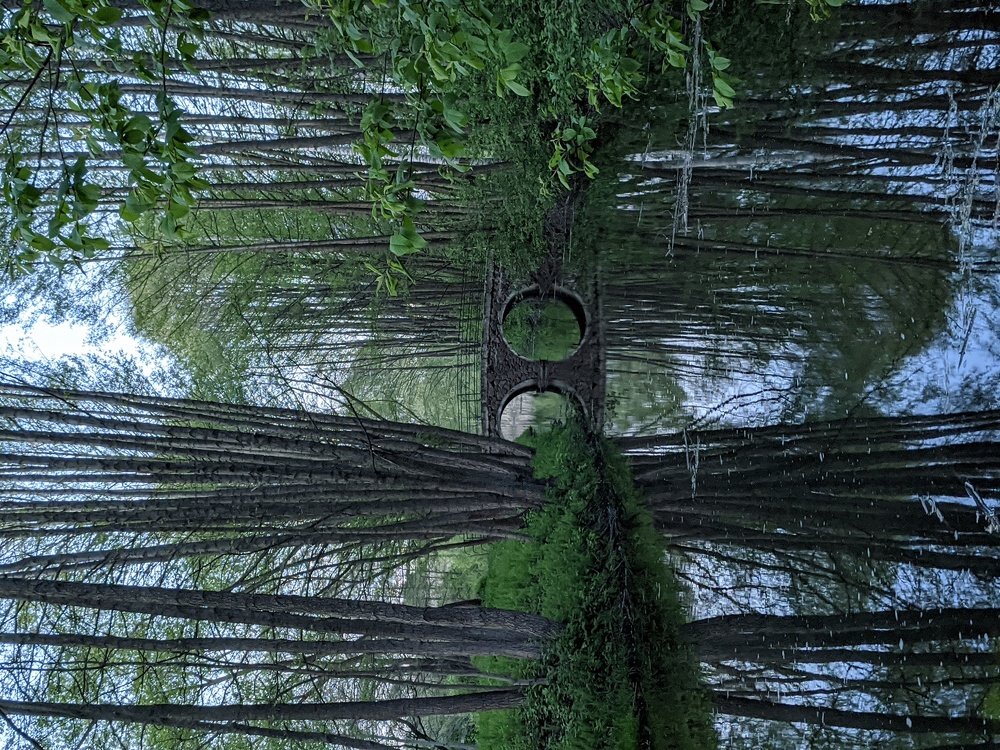 Photograph by Vladimir Sharuba