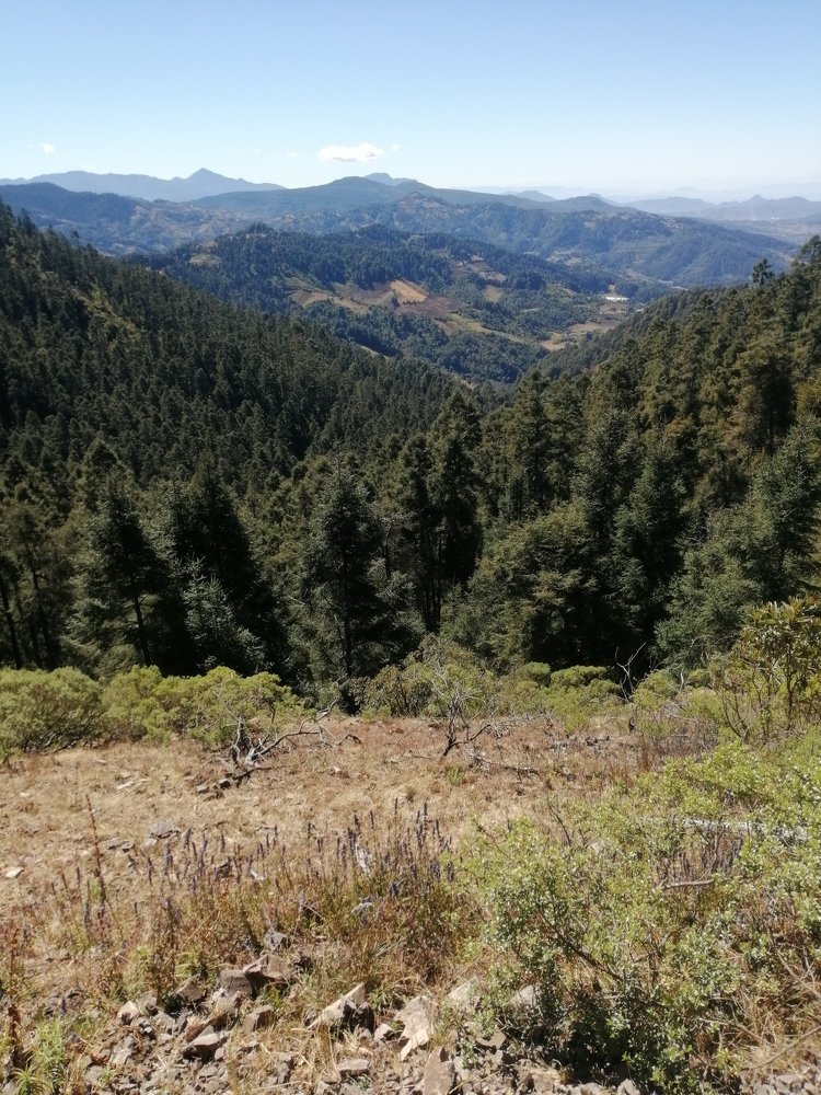 Photo #4604873