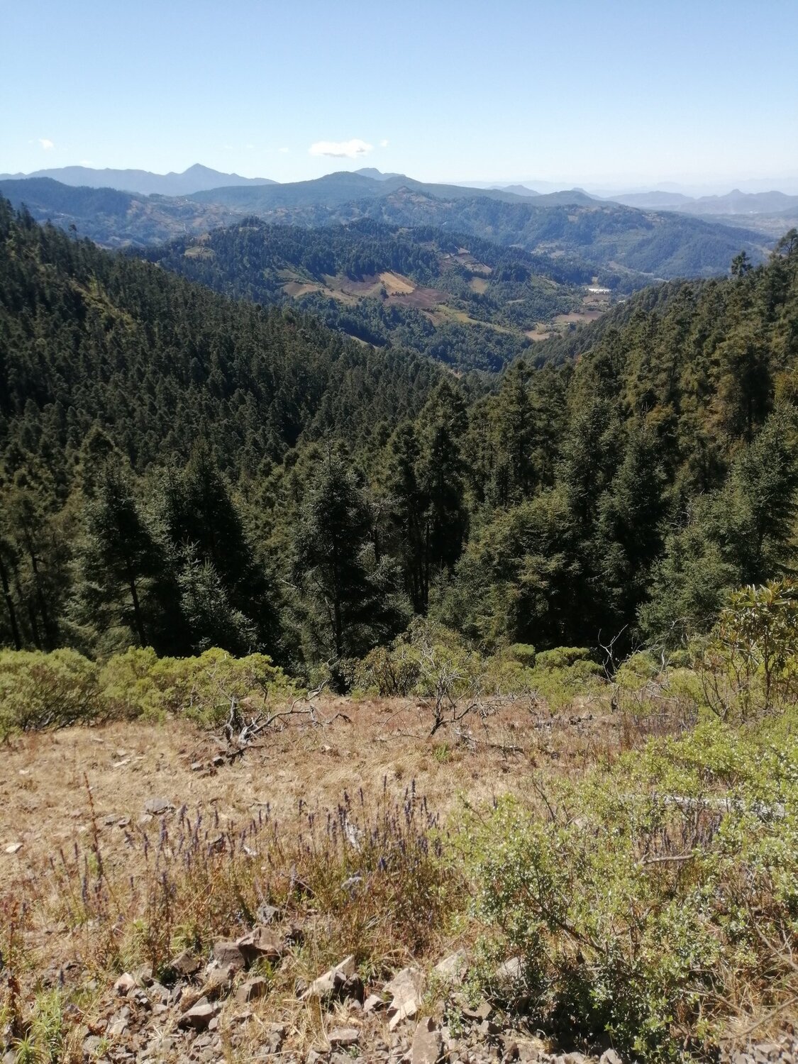Photo #4604873