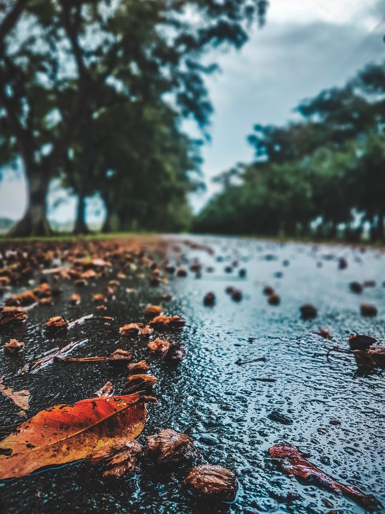 Photograph by KUNASEKARAN DAYANUJAN