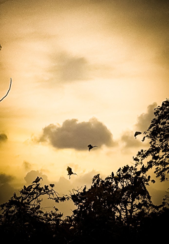 Photograph by KUNASEKARAN DAYANUJAN