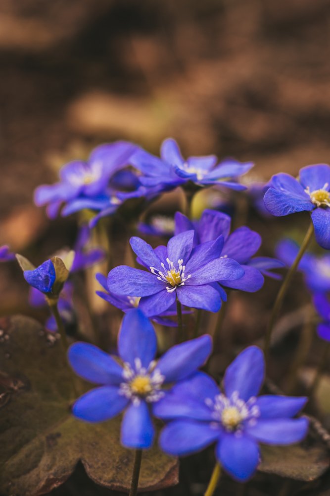 Photograph by Вероника Вербицкая