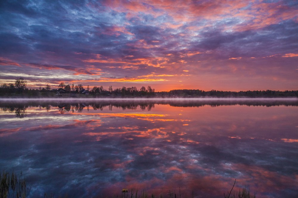 Photograph by Станислав Напалкин