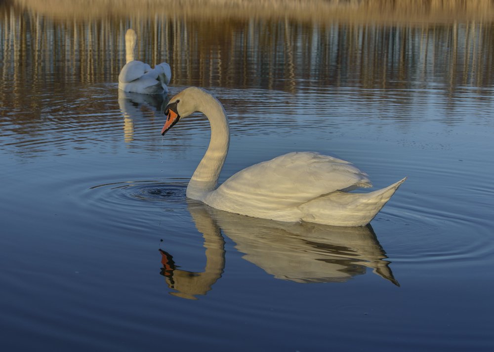 Photograph by Алексей Крукович