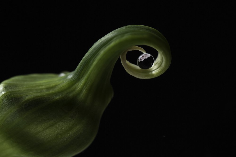 Photograph by Анна Вигера