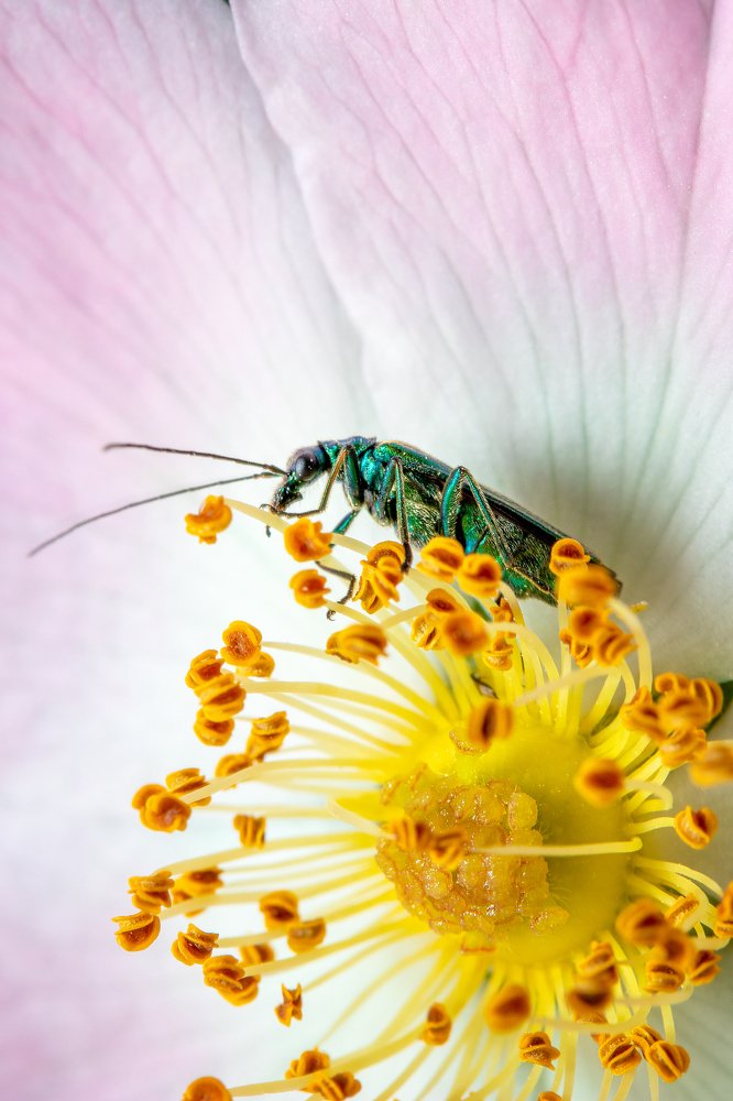 Photograph by Markus Bieck