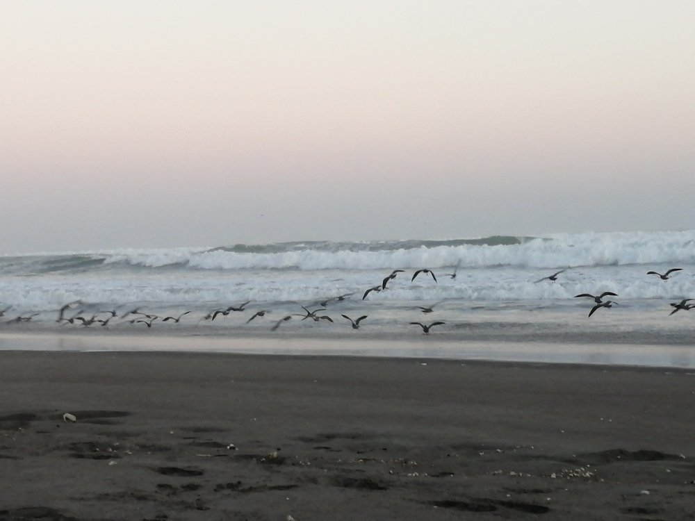 Photo #4605158