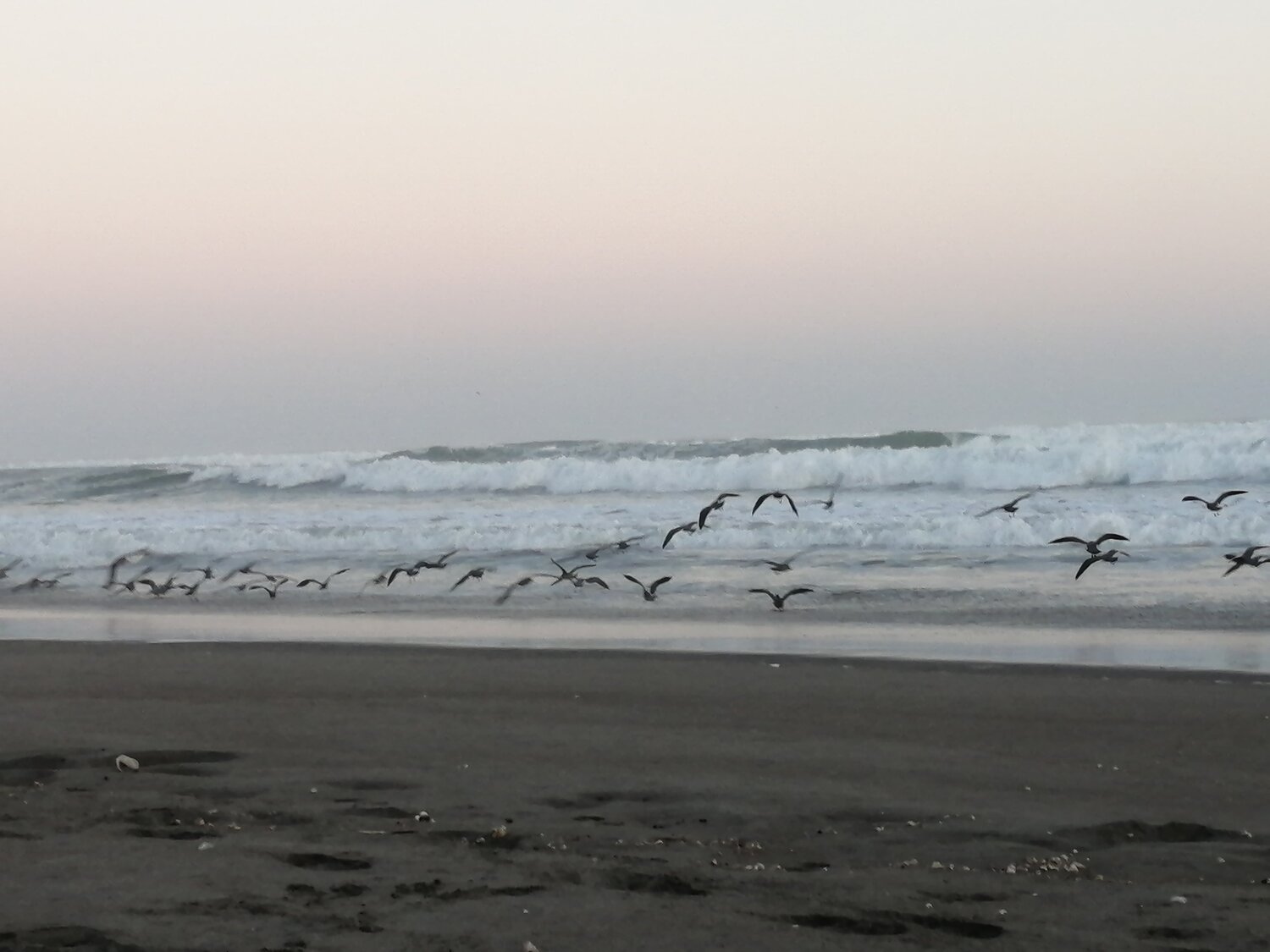 Photo #4605158