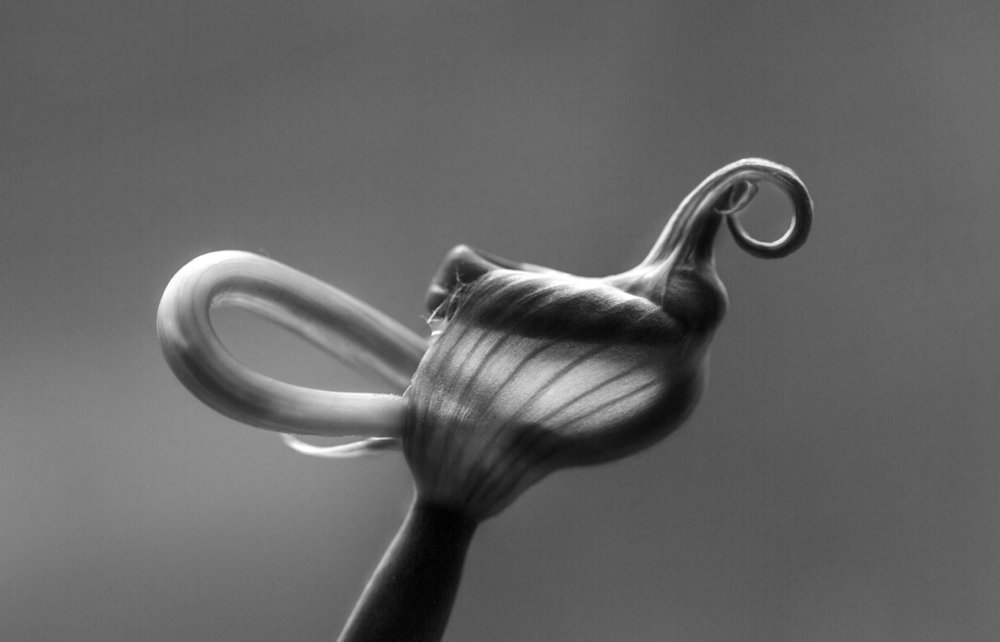 Фотография автора Анна Вигера