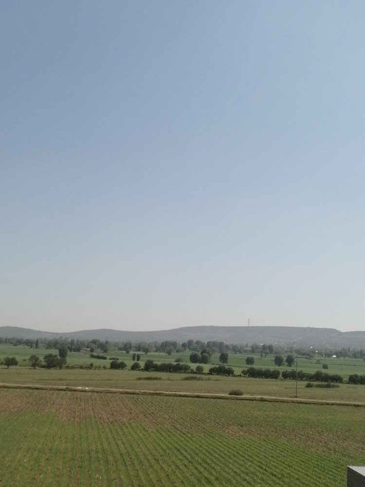 Photo #4605201