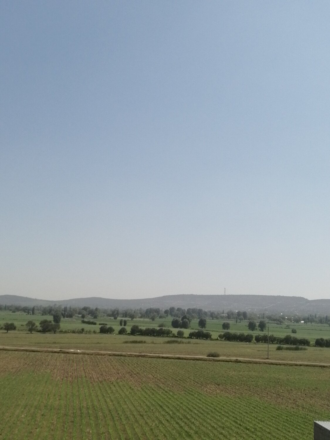 Photo #4605201