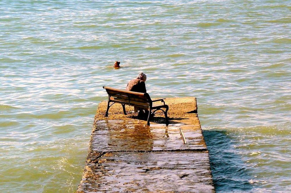 Photograph by Виктор Шандоров