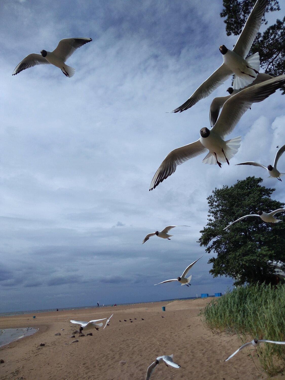 Photo #4605320