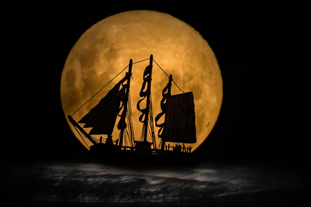 Navigating the Quarantine