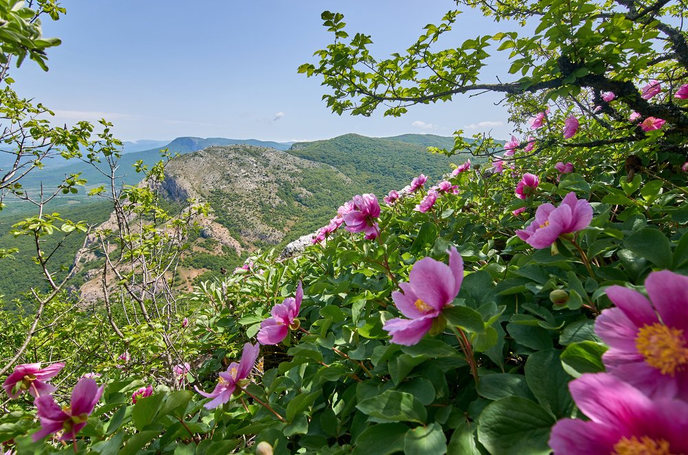 Photograph by Наталья Богач