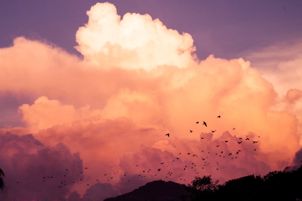 Photograph by Cynthia Fernandez