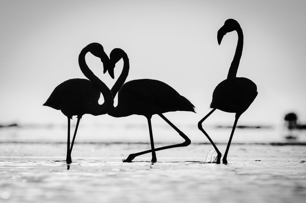 Photograph by Piotr Warzecha