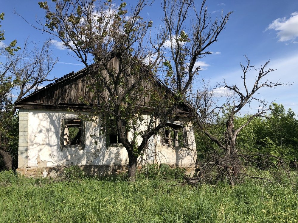 Брошенка