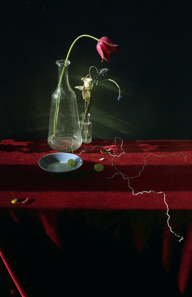 Photograph by Мария Сапего