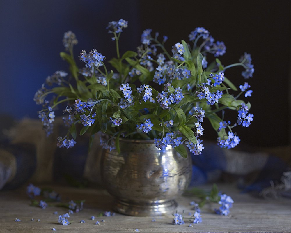 Фотография автора Марина Кулакова