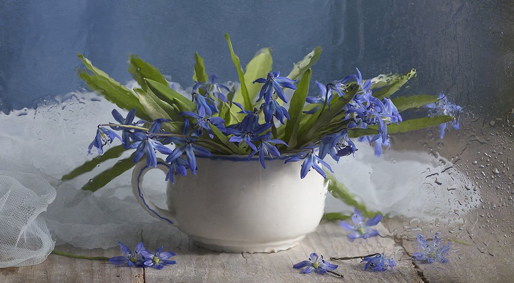 Фотография автора Марина Кулакова