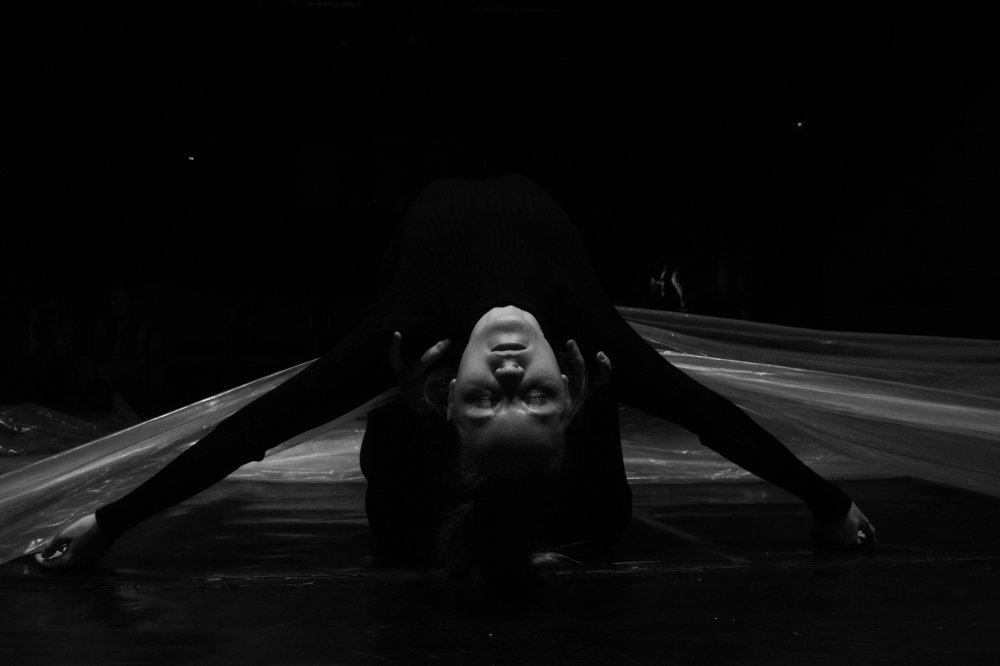 Photograph by Nagy Csaba