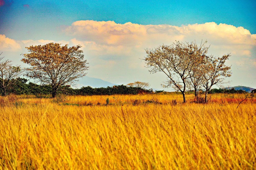 Photograph by Andre Nunes