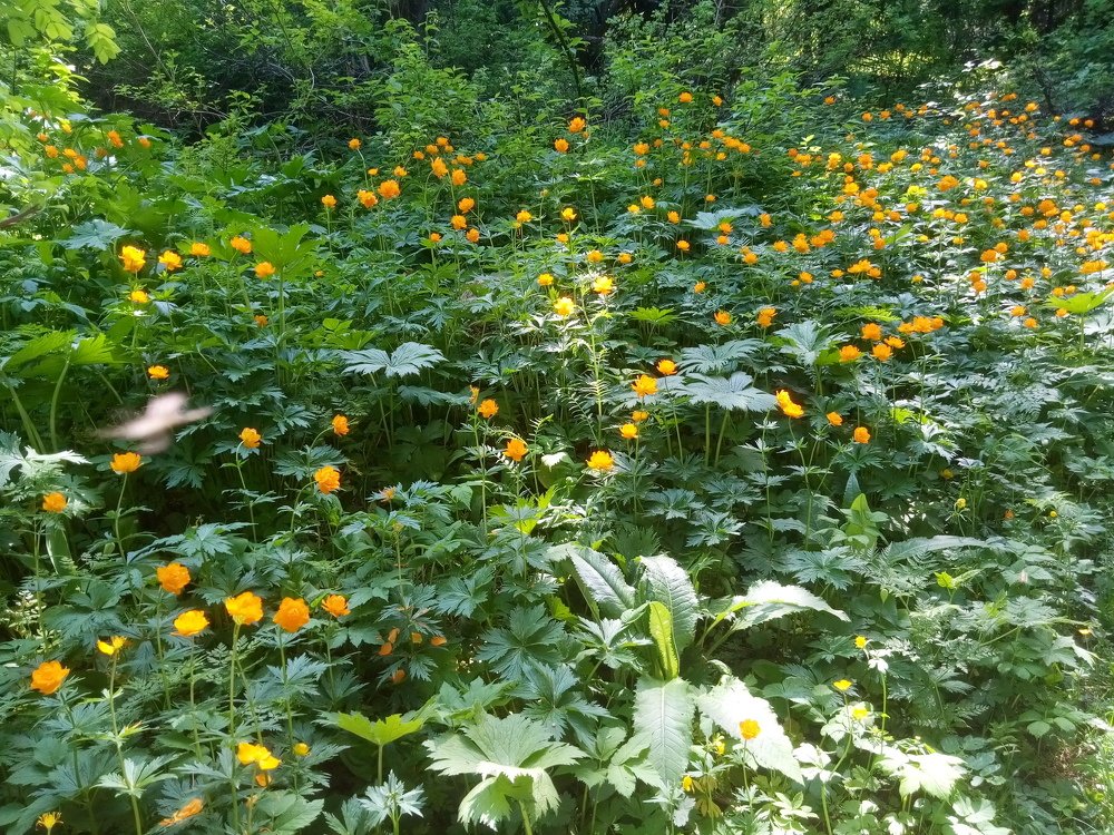 Photograph by Илья Поляков