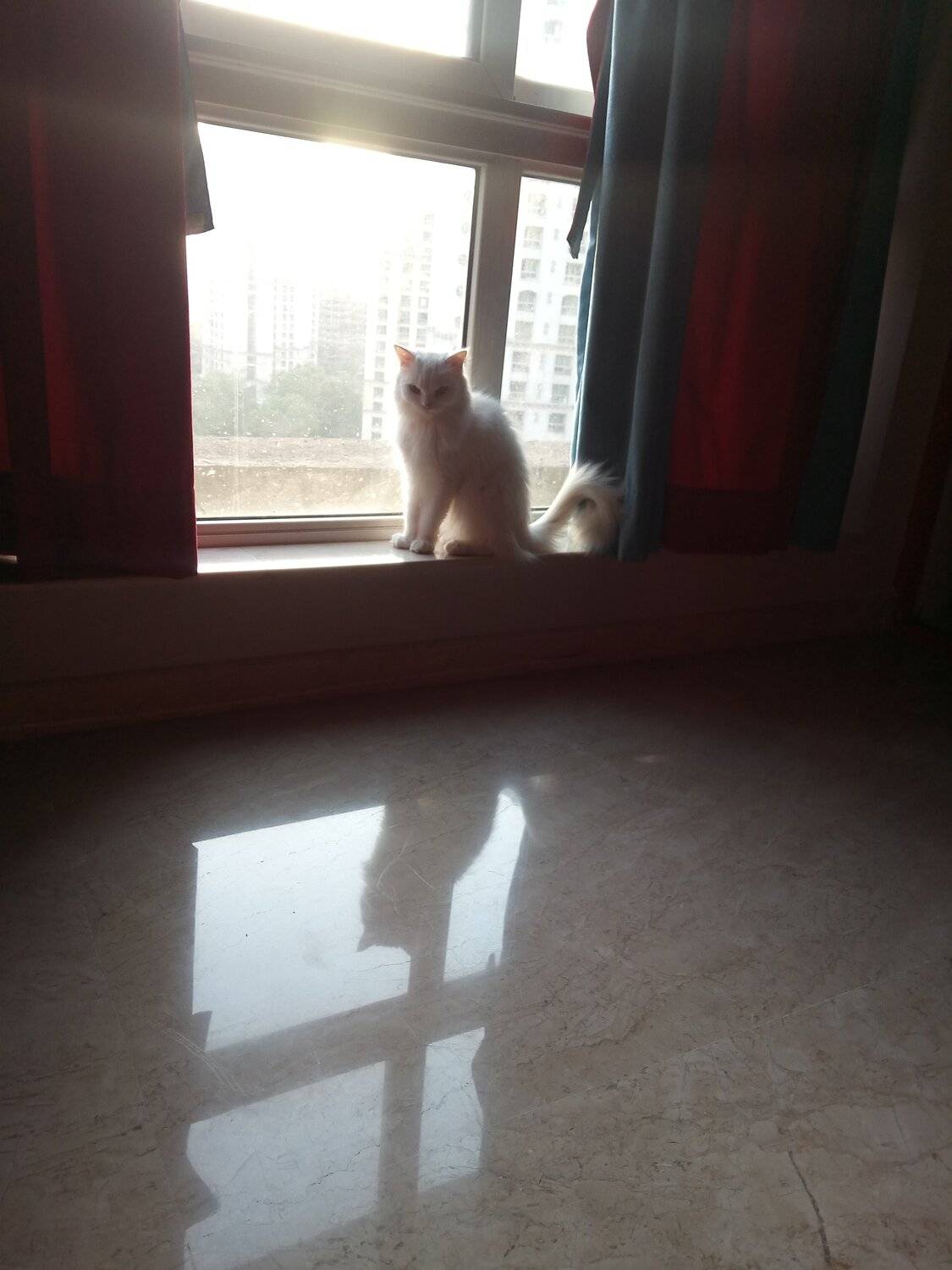 Photo #4606038